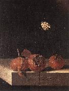 COORTE, Adriaen Three Medlars with a Butterfly df china oil painting artist